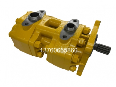 SD16雙(shuang)聯泵(beng)